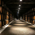  Visita Caves do Vinho do Porto